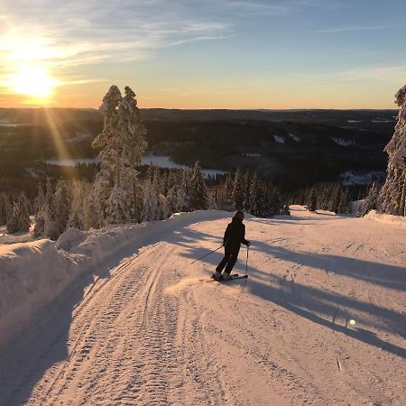 Raemsbyns Fritidsomrade - Den Perfekta Platsen Foer Avkoppling Villa Idkerberget Buitenkant foto