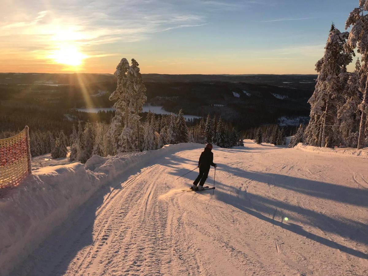 Raemsbyns Fritidsomrade - Den Perfekta Platsen Foer Avkoppling Villa Idkerberget Buitenkant foto